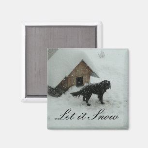 Imã Cão na neve pela casa de cachorro