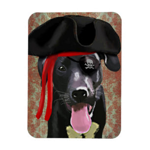 Ímã Cão Negro Pirata Labrador