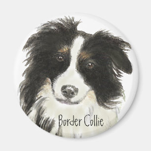 Imã Cão o de border collie