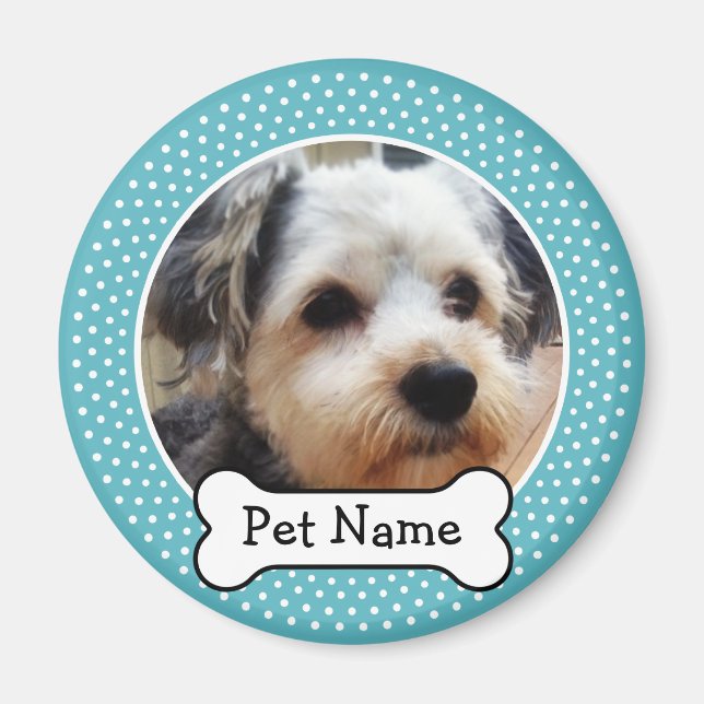 Imã Cão Osso e Bolinhas Azul Foto Pet (Frente)