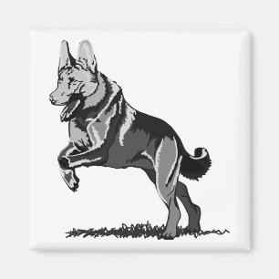 Imã Cão Pastor Alemão a saltar