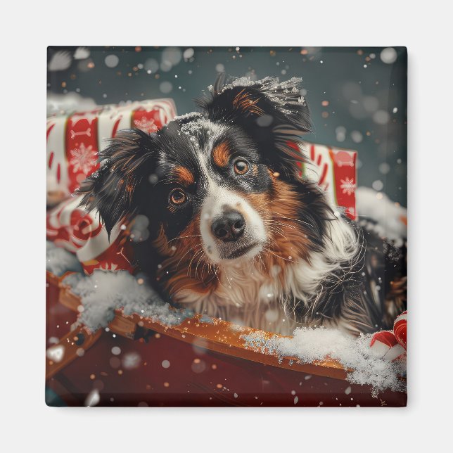 Imã Cão Pastor Australiano Festa de Natal (Frente)