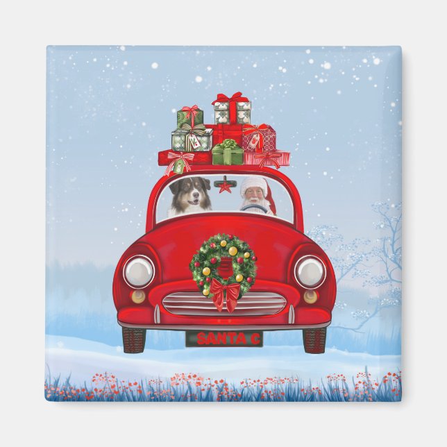 Imã Cão Pastor Australiano no Carro com Papai Noel (Frente)