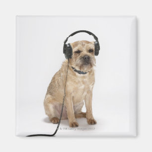 Imã Cão pequeno que veste fones de ouvido
