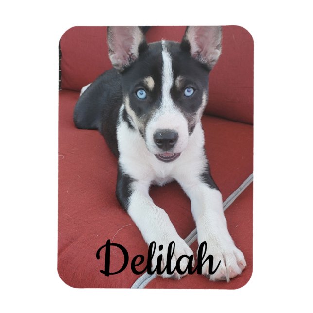 Ímã Cão Personalizado | Pet Photo (Vertical)