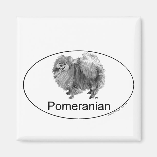 Imã Cão Pomeraniano de Eruo (Frente)