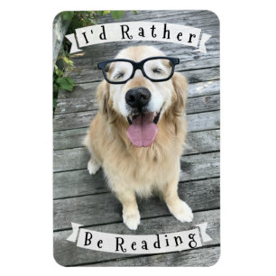 Ímã Cão que do golden retriever eu preferencialmente