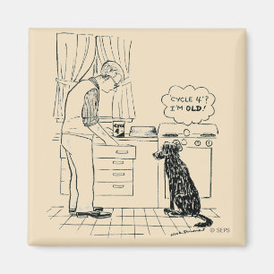 Imã Cão que obtem mais velho