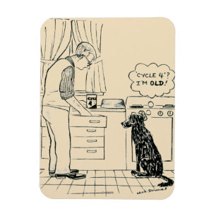 Ímã Cão que obtem mais velho