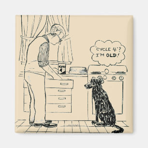 Imã Cão que obtem mais velho