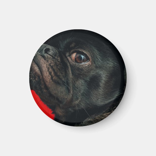 Imã cão rojo (Frente)