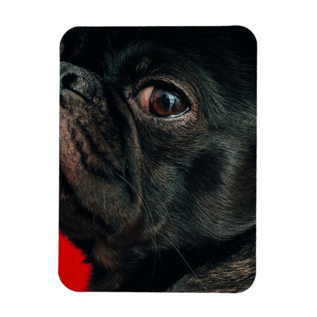 Ímã cão rojo (Vertical)