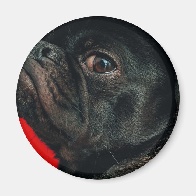 Imã cão rojo (Frente)