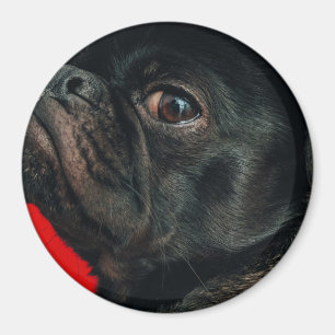 Imã cão rojo
