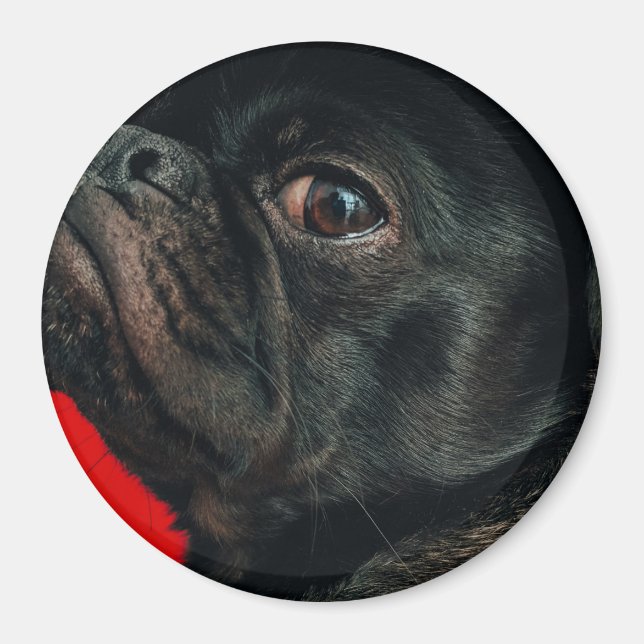 Imã cão rojo (Frente)
