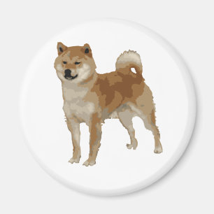 Imã Cão Shiba Inu