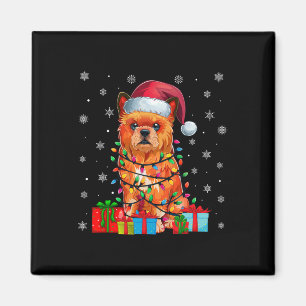 Imã Cão Ugly Xmas Lights Santa Hat Bruxelas Griffon Ch