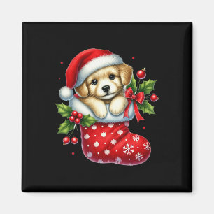 Imã Cãozinho Bonito Em Meias De Natal Para O Amor Dos 