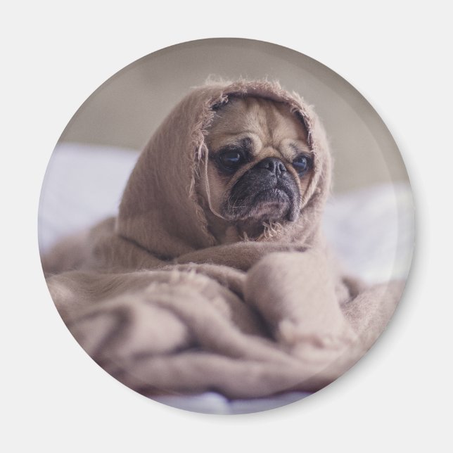 Imã Cãozinho engraçado (Frente)