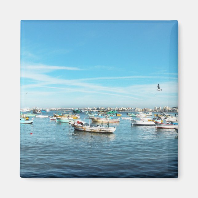 Imã CapaCidade (Frente)