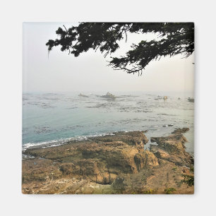 Imã Cape Arago State Park, Costa do Oregon