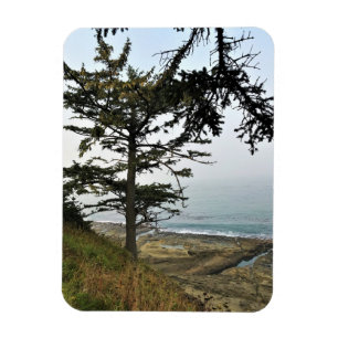 Ímã Cape Arago State Park, Costa do Oregon