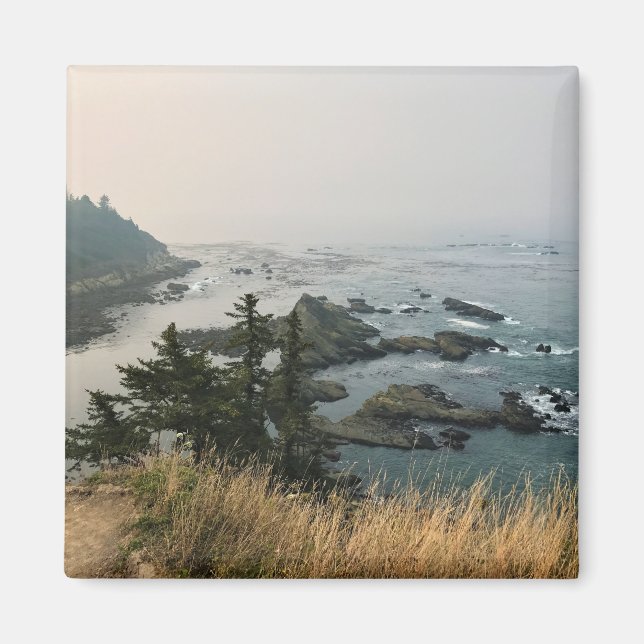 Imã Cape Arago State Park, Costa do Oregon (Frente)
