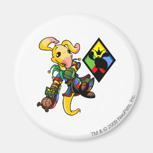 Imã Capitão 1 da Equipe da Ilha Roo