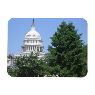 Ímã Capitol Building, do Parque Bartholdi