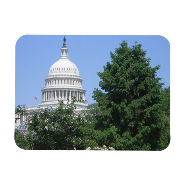 Ímã Capitol Building, do Parque Bartholdi (Horizontal)