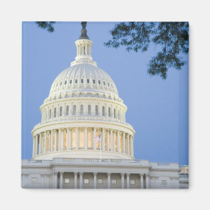 Imã Capitol dos EUA ao anoitecer, Washington D.C. (Dis