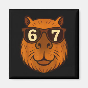 Imã Capivara Engraçada Sungles 67 Seis Sete Meme 