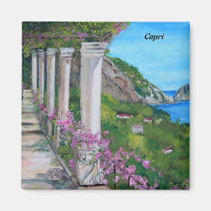 Imã Capri, Italia - ímã