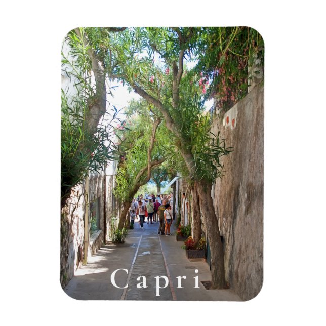 Ímã Capri. nº 5 (Vertical)