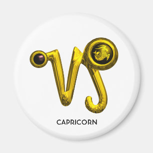 IMÃ CAPRICORN