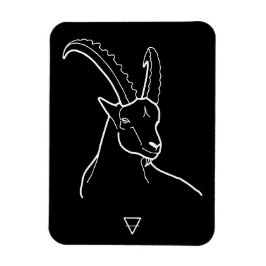Ímã Capricorn