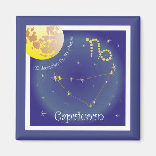 Imã Capricórnio 22 dezembro fin 20 schaner Magnet