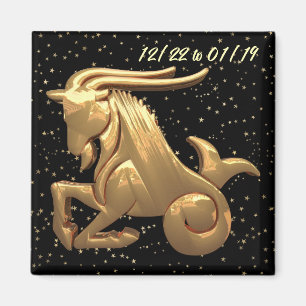 Imã Capricórnio Astrologia 2 Magnet