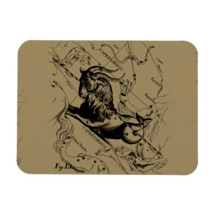 Ímã Capricórnio Constelação Hevelius 1690 em Taupe