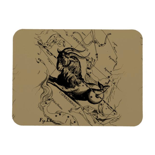 Ímã Capricórnio Constelação Hevelius 1690 em Taupe (Horizontal)