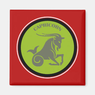 Imã Capricórnio Magnet