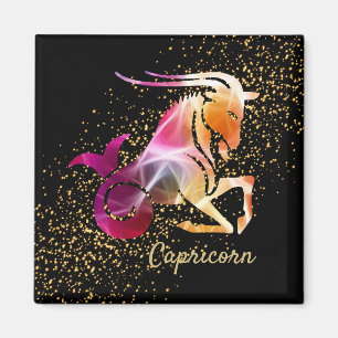 Imã Capricórnio - Sinal de Astrologia Zodiac