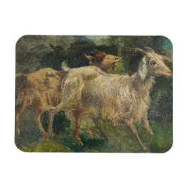 Ímã Caprinos (por Vincenzo Caprile)