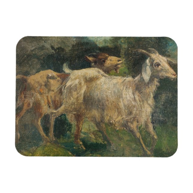 Ímã Caprinos (por Vincenzo Caprile) (Horizontal)