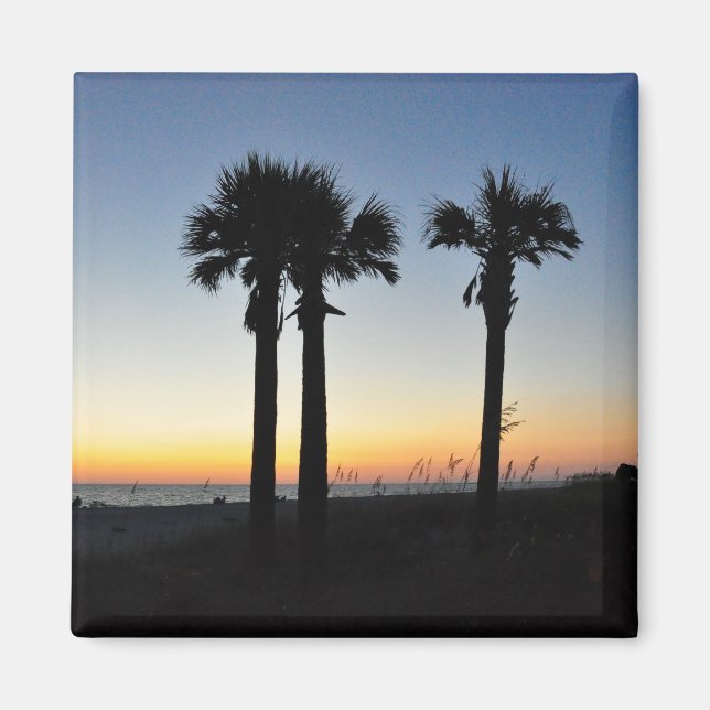 Imã Captiva Island Palm Trees em Sunset Florida Magnet (Frente)