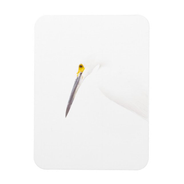 Ímã Captura de cabeça Egret (Vertical)