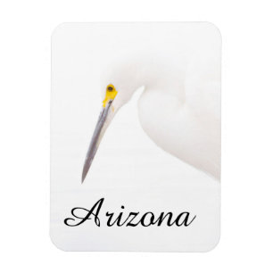 Ímã Captura de cabeça Egret, Arizona