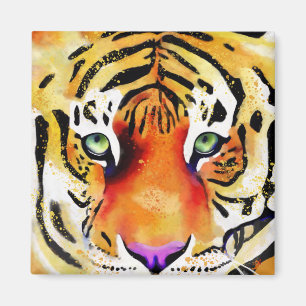 Imã Capturando a Majestade: O Olhar de um Tigre