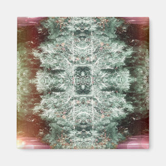 Imã 'Capturar' Magnet