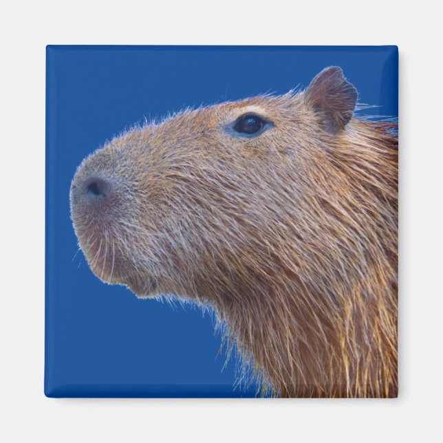 Imã Capybara (Frente)